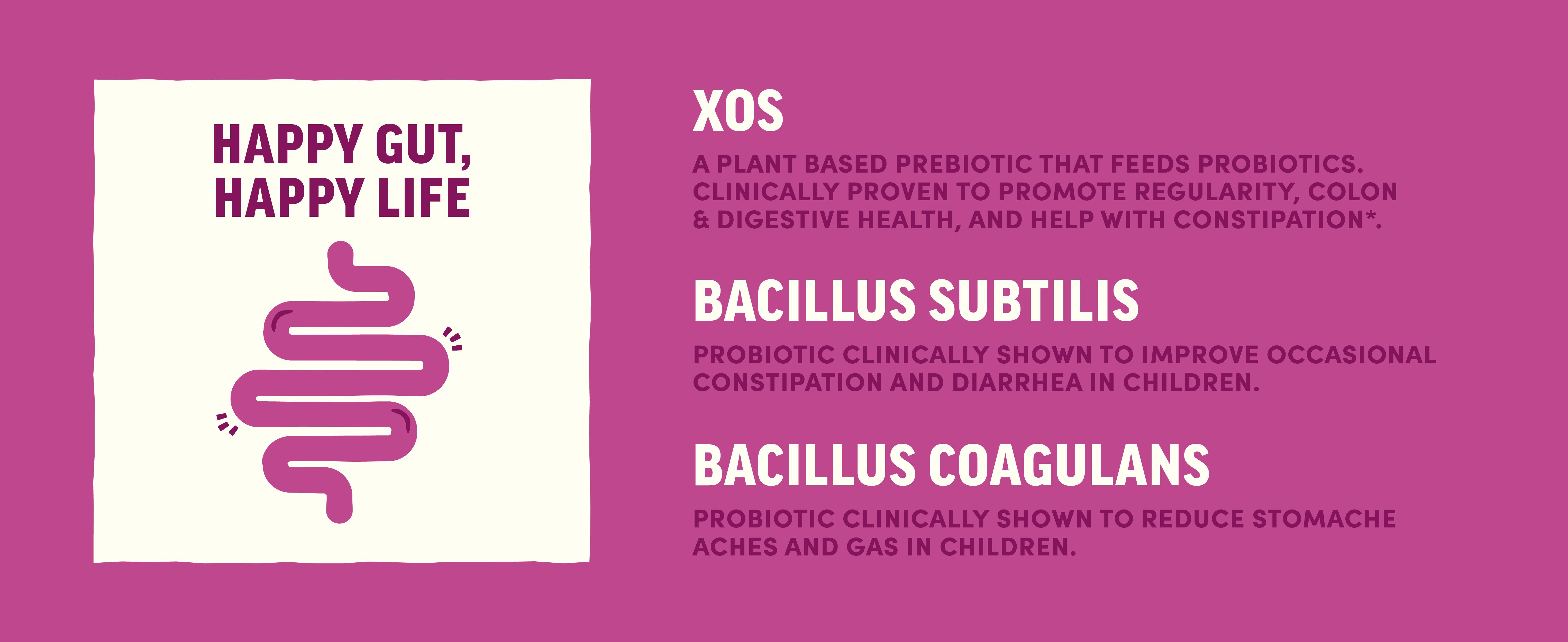 Llama Naturals Kids Probiotic with Prebiotic Fiber, Vegan, Organic Prebiotics and Probiotics Gummies for Gut Health Support, Real Fruit Gummy Vitamins, No Added Sugar Cane, Mixed Berry, 60 Ct