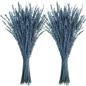 Dried Lavender, 16" Dried Lavender Bundles Dried Blue Preserved Lavender Stems Bouquet for Shower Weeding Home Fragrance Vase Crafts Decor, 100g(3.52oz) Aroma Scent Scented Perfume