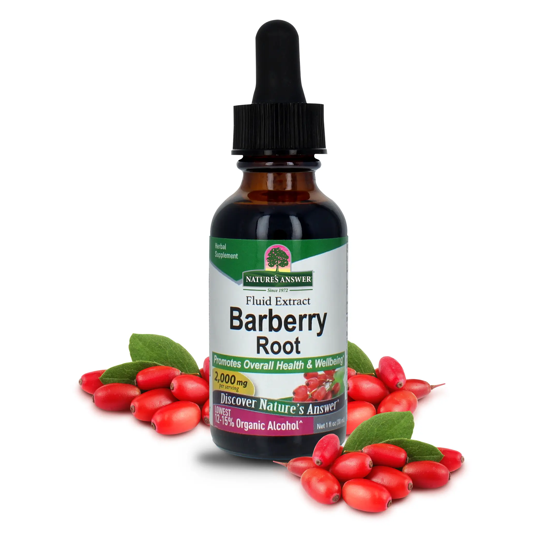 Nature's Answer Barberry Root with Organic Low Alcohol, 1-Fluid Ounce | Promotes Immune Function | Supports Digestive Health Supplement