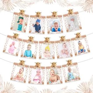 1Set Highland Cow First Birthday Decorations Girl  1anniversary Birthday Monthly Photo Banner Pink Holy Cow Im One Boho Floral Highland Cattle Bday Party Decorations