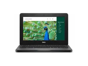 Dell Chromebook 3120 11.6" Clamshell Chromebook - Intel N100 - 4 GB - 64 GB Flash Memory -  Gray - ChromeOS - Intel UHD Graphics - Webcam - IEEE 802.11ax Wireless LAN Standard   CC6PF