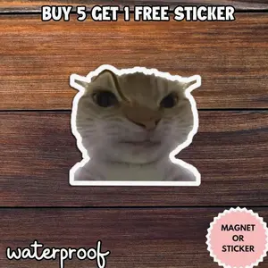 Funny Cat Meme Sticker, Awkward Cat Reaction Sticker, Viral Cat Face Meme, Relatable Mood Sticker 1