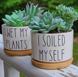 Funny Succulent Pots - White Ceramic Plant Pot