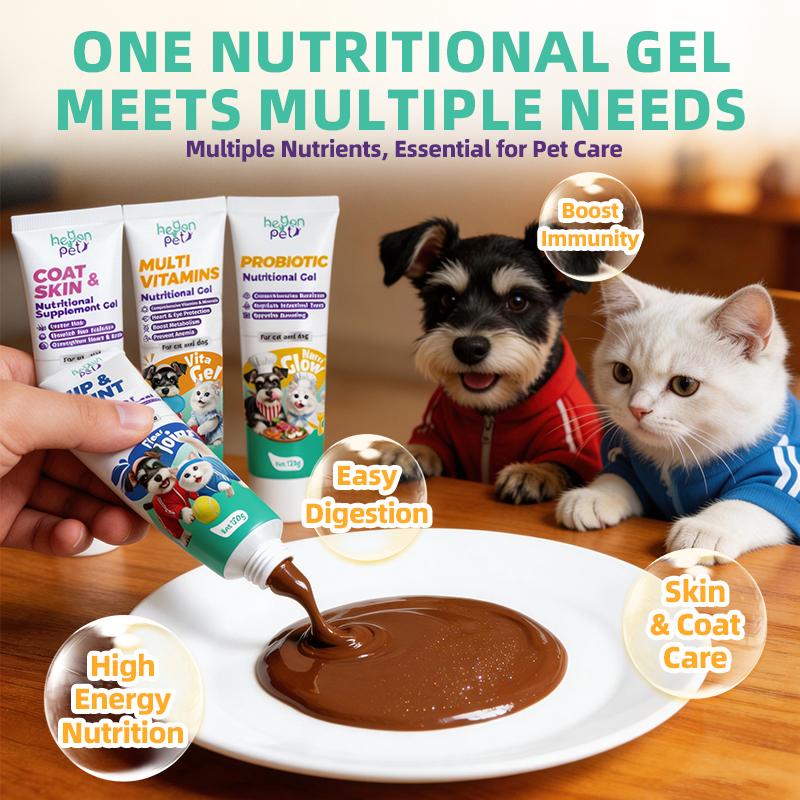 Hegenpet Concentrated Energy Supplement Paste (4Flavors) Premium Nutritional Gel for Picky Eaters - BoostImmunity & Vitality for Dogs & Cats
