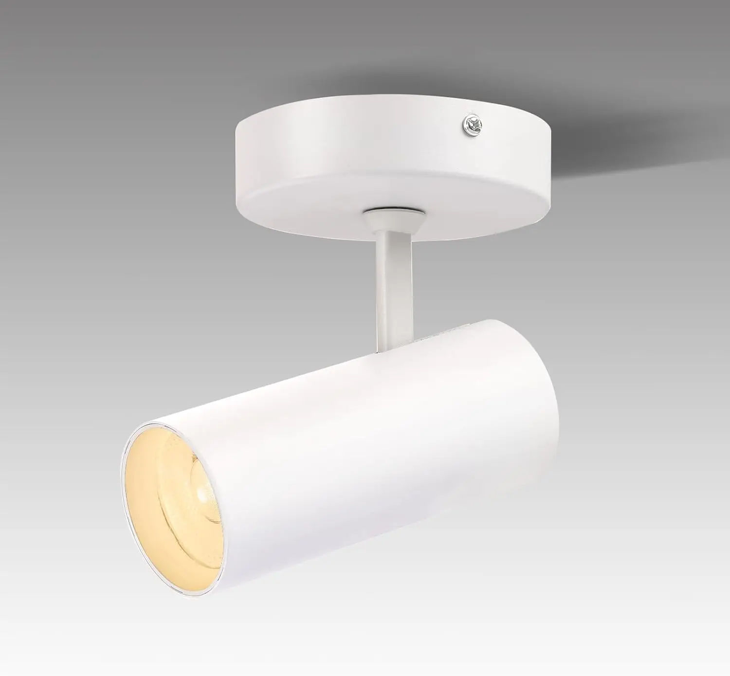 LED Dimmable Ceiling Spotlight Adjustable Ceiling Mounted Directional Spot Light 4.72'' Aluminum Indoor Monopoint Light for Living Room Painting CRI 98 12W 3000K White
