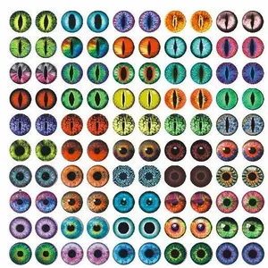 100 Pcs (50 pairs) Dragon Eyes, Cat Eye and etc.