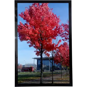 11x17 Picture Frame Black, Display pictures 11x17 Poster Frame, Wall Sign Poster Menu Photo Frames, 1 Pack