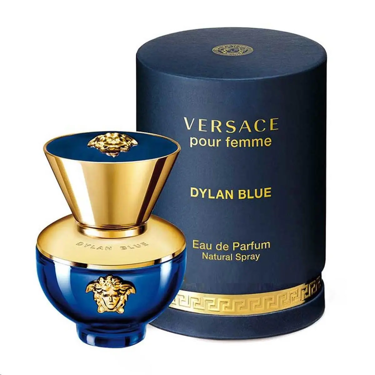 VERSACE Dylan Blue Pour Femme Eau de Parfum Spray, Long-Lasting & Refreshing Women's Fragrances, Versatile Grooming Spray, 3.4 oz, Special Evening Out, Edp Perfume Fragrance, Casual Wear, Cooling Effect, 3.4 Fl Oz, Instant Cooling