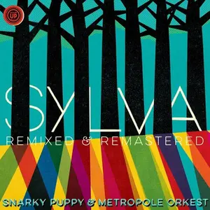 Snarky Puppy - Sylva (remixed & Remastered)