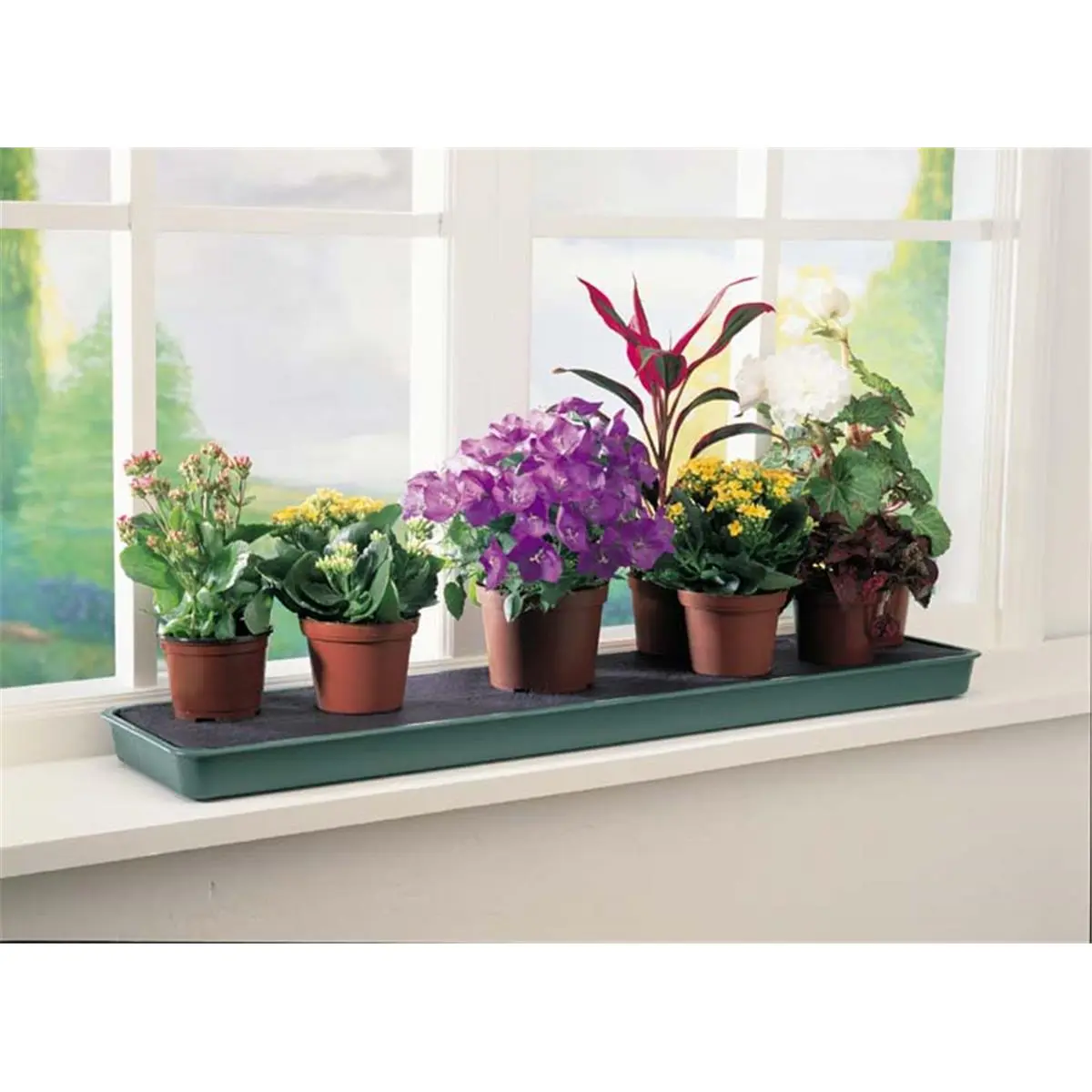 Windowsill Plant Tray
