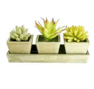 Faux Cactus Aloe Vera Succulent Ceramic Planter in Brown Wooden Tray 3pcs Set