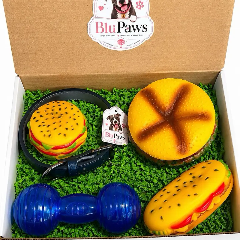 Dog Gift Box – 4 Squeaky Dog Toys, Adjustable Surprise Collar, Gift Set for Small & Medium Dogs
