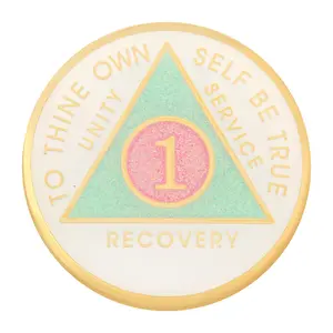 Alcoholics Anonymous New Premium AA Yearly Pink Cloud Glitter Recovery Medallion 3dpetergriffinmedallion Circle Gift