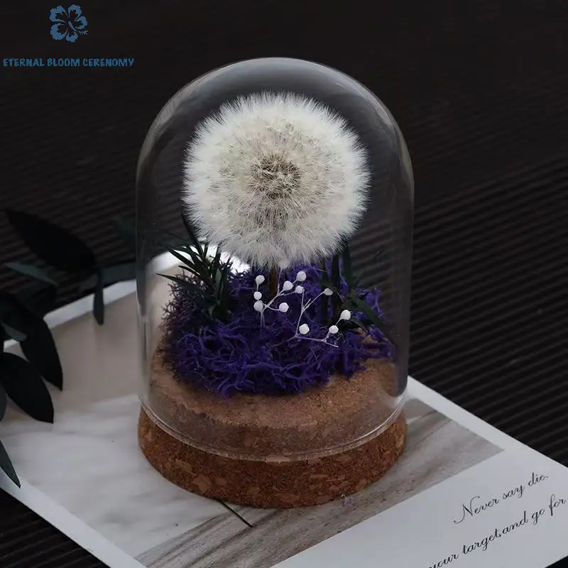 Preserved Dandelion Decorative Potted Plant with Moss in Glass Dome - Romantic Glam Everlasting Bloom Home Decor, Women Gifts for Mother's Day Weddings, Ornaments