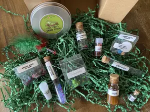 Fizzy Frog’s Magic Swamp Potion