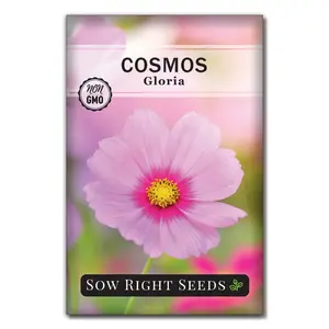 Gloria Cosmos