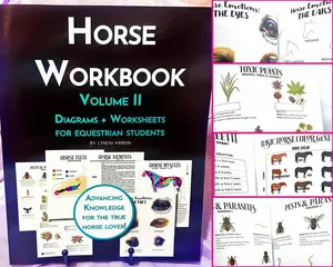 Horse Workbook Vol. II