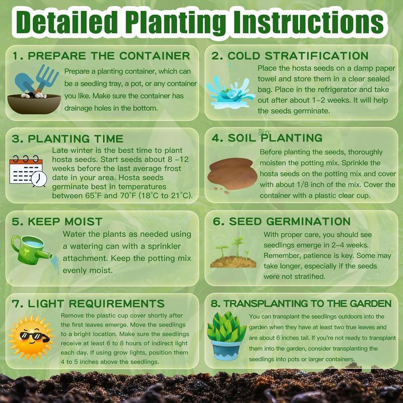 50+ pcs Jasmine Seeds for Planting, Non-GMOHeirloom, PerennialGarden Bonsai Plant, No Experience RequiredEasy to Grow 50+ pcs Jasmine Seeds for Planting, Non-GMOHeirloom, PerennialGarden Bonsai Plant, No Experience RequiredEasy to Grow