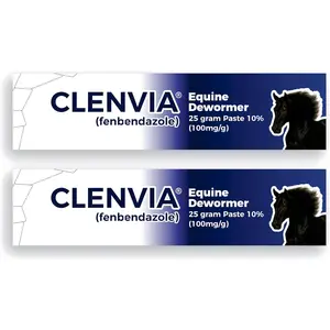 10% Horse Paste 25g Syringes Oral Deworming Paste for Horses of All Ages Easy-to-Administer Equine Care Pack of 2