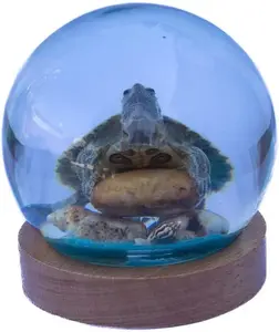 Green Turtle Globe