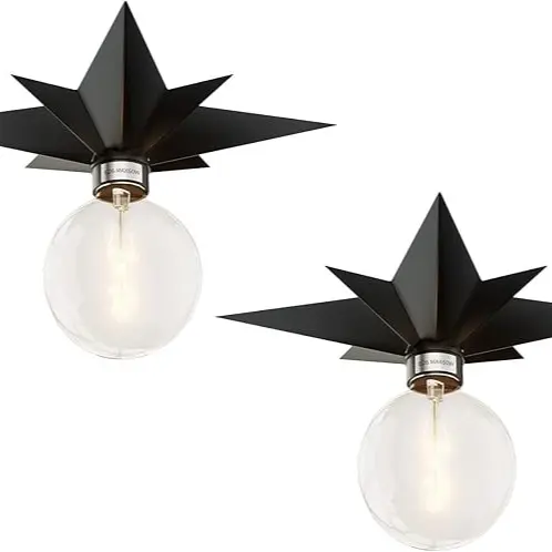 2 Pcs Black Ceiling Light