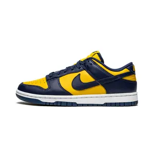 Dunk Low "Michigan" DD1391 700