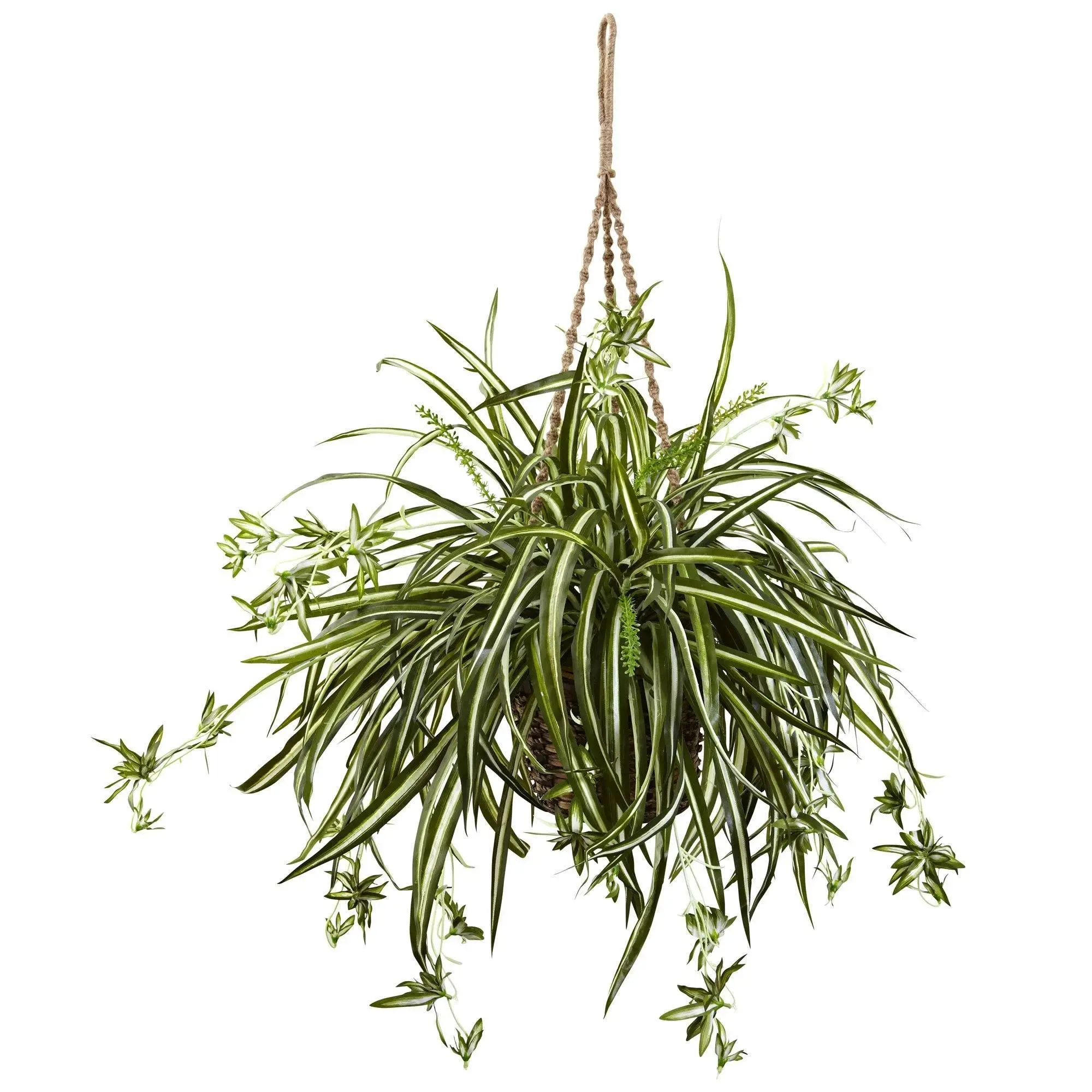 Hanging Plant Hanger Spider Plant Hanging Basket, Indoor Container Gardening Planter, Home & Garden Decor