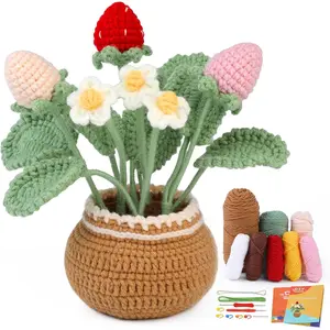 Crochet Kit for Beginners, Strawberry Crochet Kit Beginner Crochet Starter Kit for Complete Beginners Adults, Crocheting Knitting Kit with Step-by-Step Video Tutorials (Strawberry)