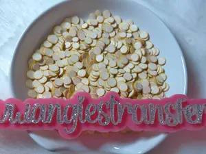 Conchas Mexican Bread Polymer Clays for Snowglobe Tumblers Nail Arts Slime Creative Projects Versatile Uses Ideal for Creatives