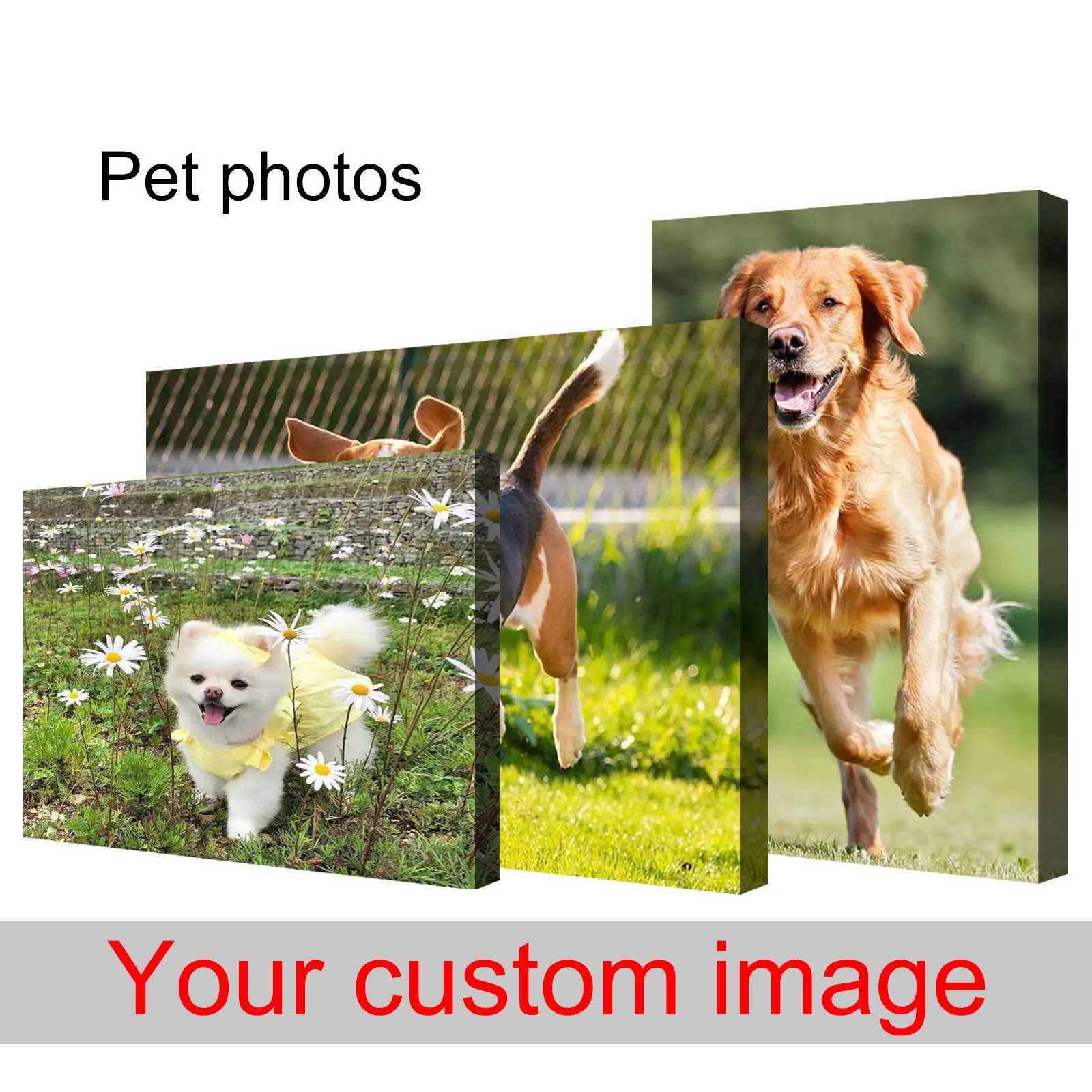 Personalized Custom Pet Portrait Canvas Wall Art | Custom Photo Canvas for Pet Memorial, Birthday & Home Decor