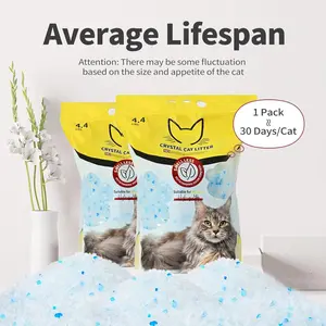 Crystal non-clumping cat litter, low-dust odor control silica gel cat sand, low tracking and waste-reducing formula, ideal for kittens and multi-cat homes