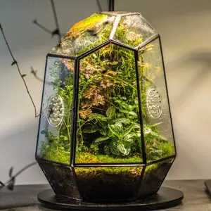 NCYP Geometric Glass Terrarium Enclosure with Door for Plants Snail Jumping Spider Insects Room Decor 7.9x6.9x9.8 inches Handcrafted Tin & Glass Design (Terrarium Only)