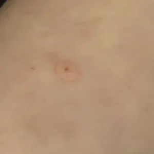 review image 9