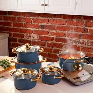 Stainless steel pot combination (5 pots + 5 lids), blue exterior design, ideal for home and restaurant cooking, outdoor, dormitory, camping use, dishwasher cleaning, compatible with all stove types, essential camping kitchen tools