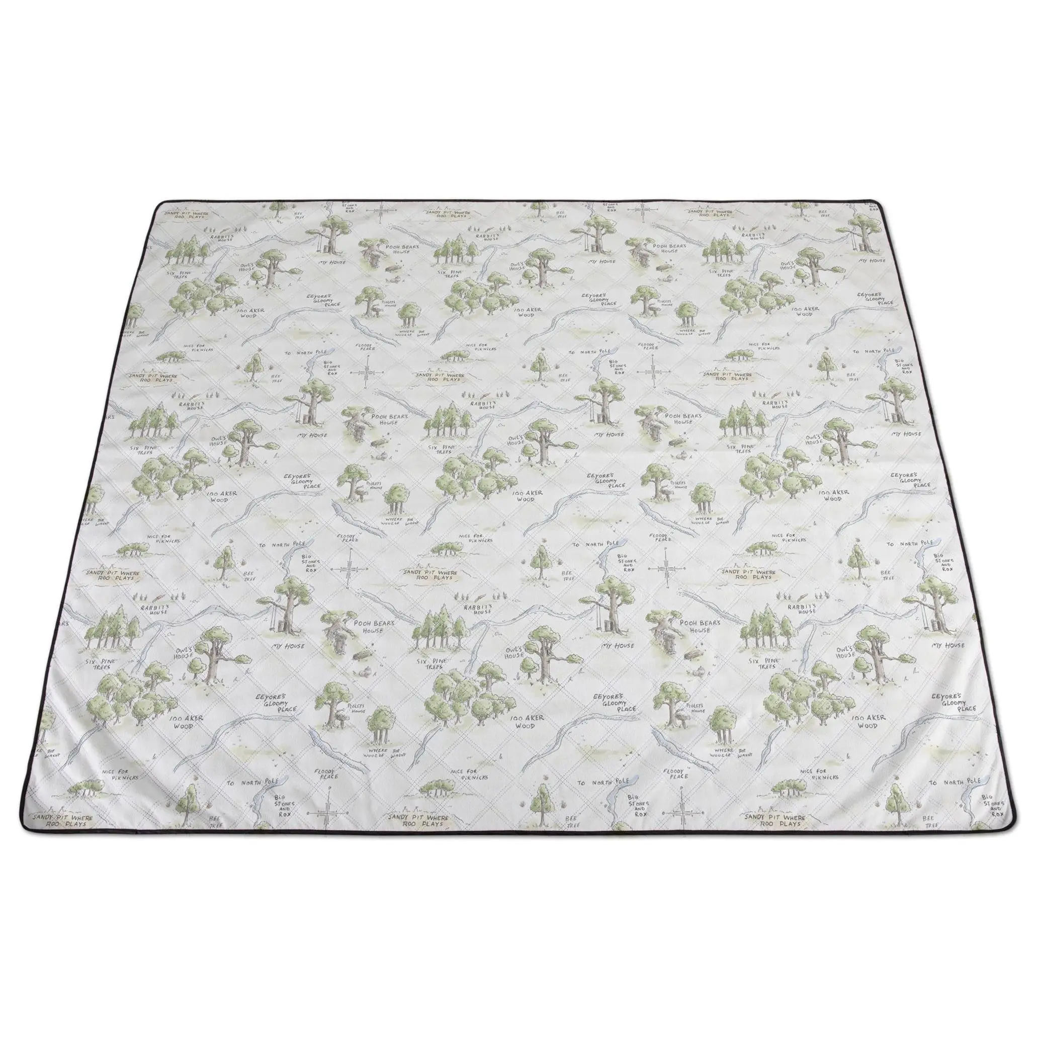 Oniva Winnie the Pooh Impresa Picnic Blanket