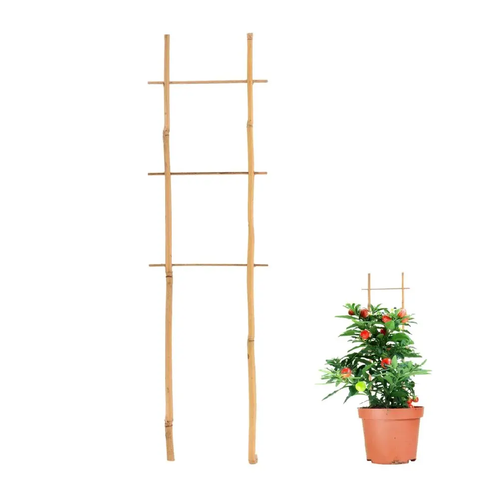 Bamboo Flair Trellis