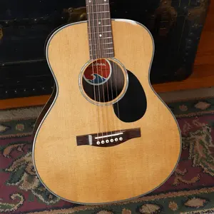 Eastman PCH2-TG Thermo-Cured Solid Sitka/Laminated Rosewood Travel Acoustic Guitar #8013