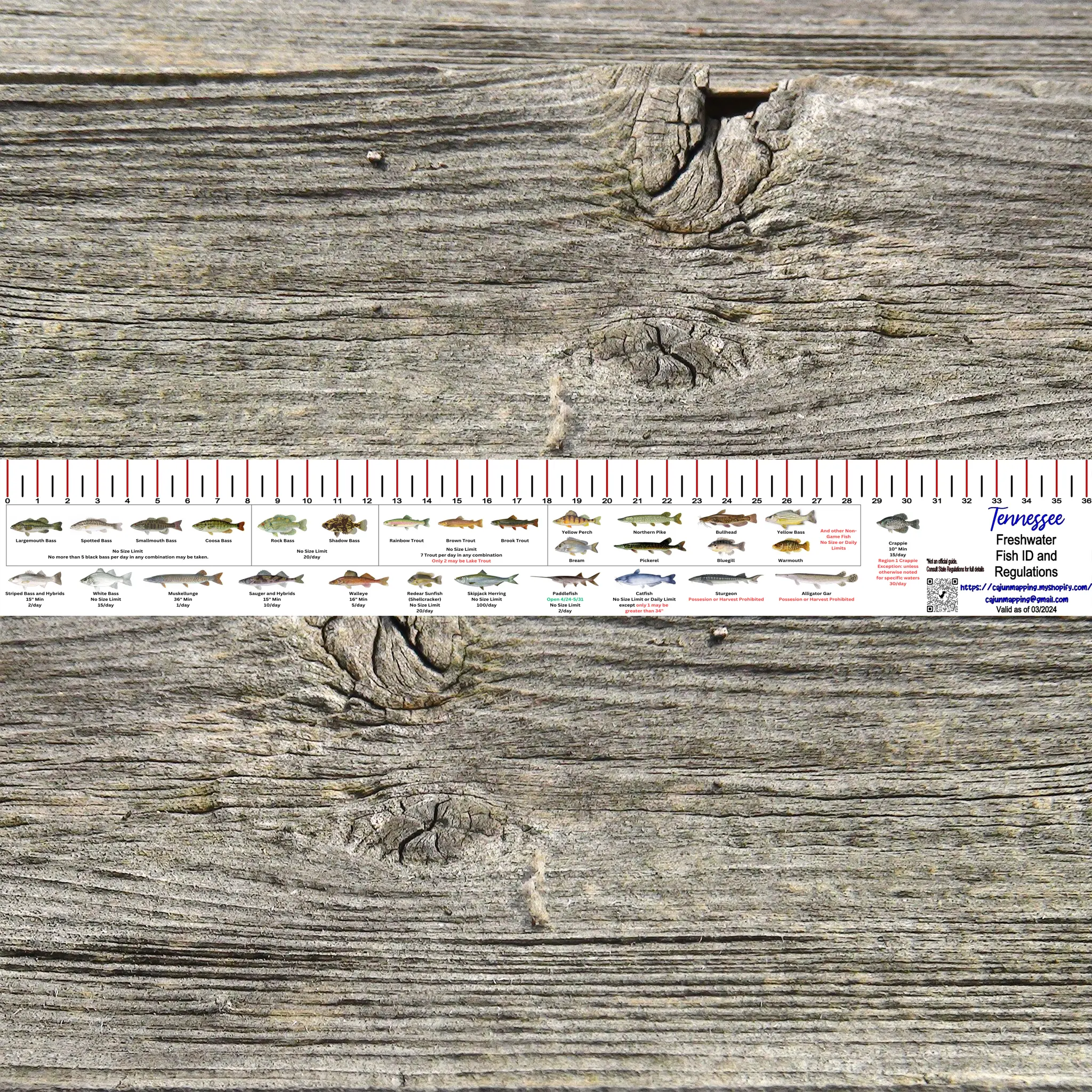 TENNESSEE FRESH WATER RULER 36 INCH FISH ID AND STATE REGULATIONS FISH RULER DECAL
