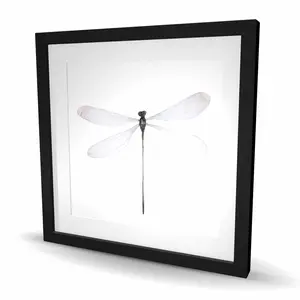 212 MAIN Minimalist Dragonfly Framed Matted Print Wall Art, 24x24 in, Ready-to-Hang Photo, Room Decoration, Ideal Gift (C1FM2424IYIEEO)