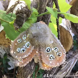 Handmade moth/butterfly, brooch White Gold Brooch