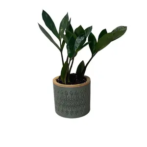 Diamond Pattern 3D Printed Planter Pot - 2 Pieces