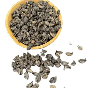Bicorne /griffe de lion 100g