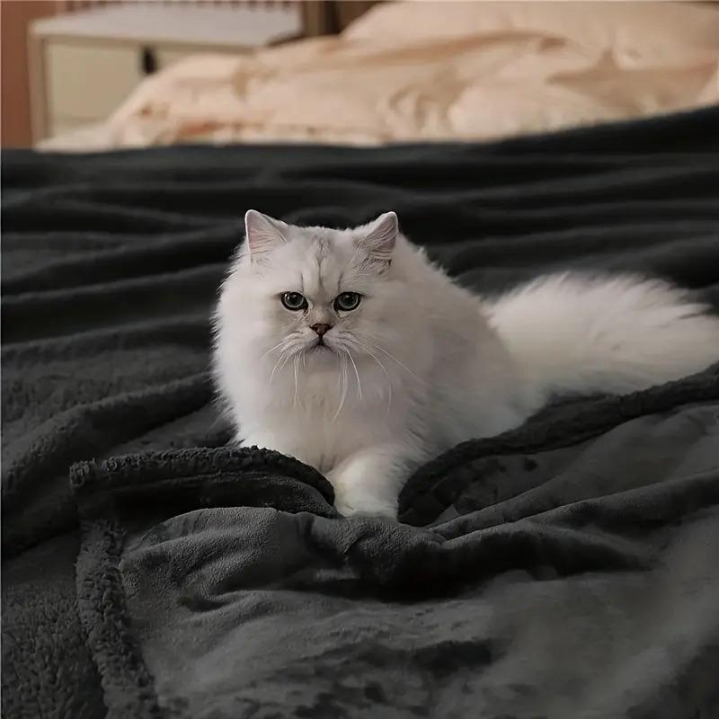 Waterproof Blanket for Bed Intimacy Pleasure All Season Multipurpose Blanket for Couples, Adults, Pets, Squirt, Pee Proof Pleasure Blanket for Kids Adults, Pets, waterproof Soft comfy Pet Blanket