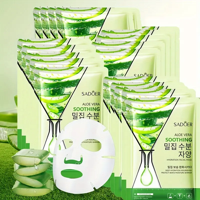 aloe vera pflanze verkaufen Aloe Vera – Echte Heilpflanze im Topf bestellen main image 1