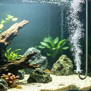 Co2 Diffuser for Aquariums, 304 Stainless Steel, Includes Suction Hose, Ideal for Aquatic Plants, Enhances Water Quality