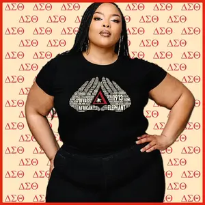 Delta Sigma Theta Sorority T-shirt. Delta Sigma Theta 1913 T-shirt. DST 1913 T-shirt. Deltas, DST.
