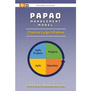 USED-PAPAO Management Model: Organize Large Initiatives by Dannefer, Kasper (Paperback)