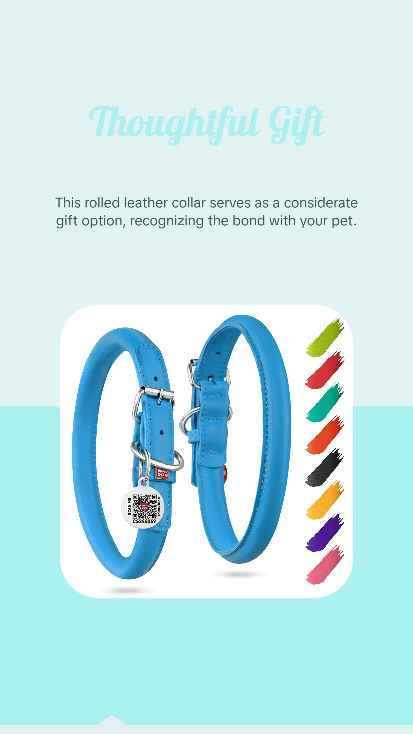 Blue Ultra Soft Rolled Leather Dog Collar for XSmall Dogs