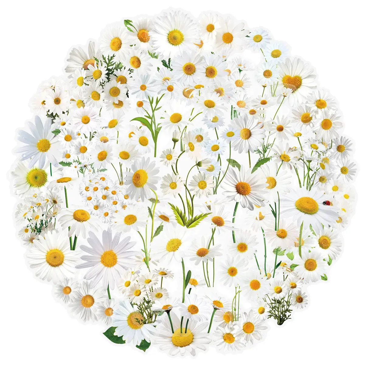 10/25/50pcs Mixed Transparent White Daisy Flower Stickers Graffiti for DIY Waterproof Decor Phone Laptop Guitar Scrapbooking