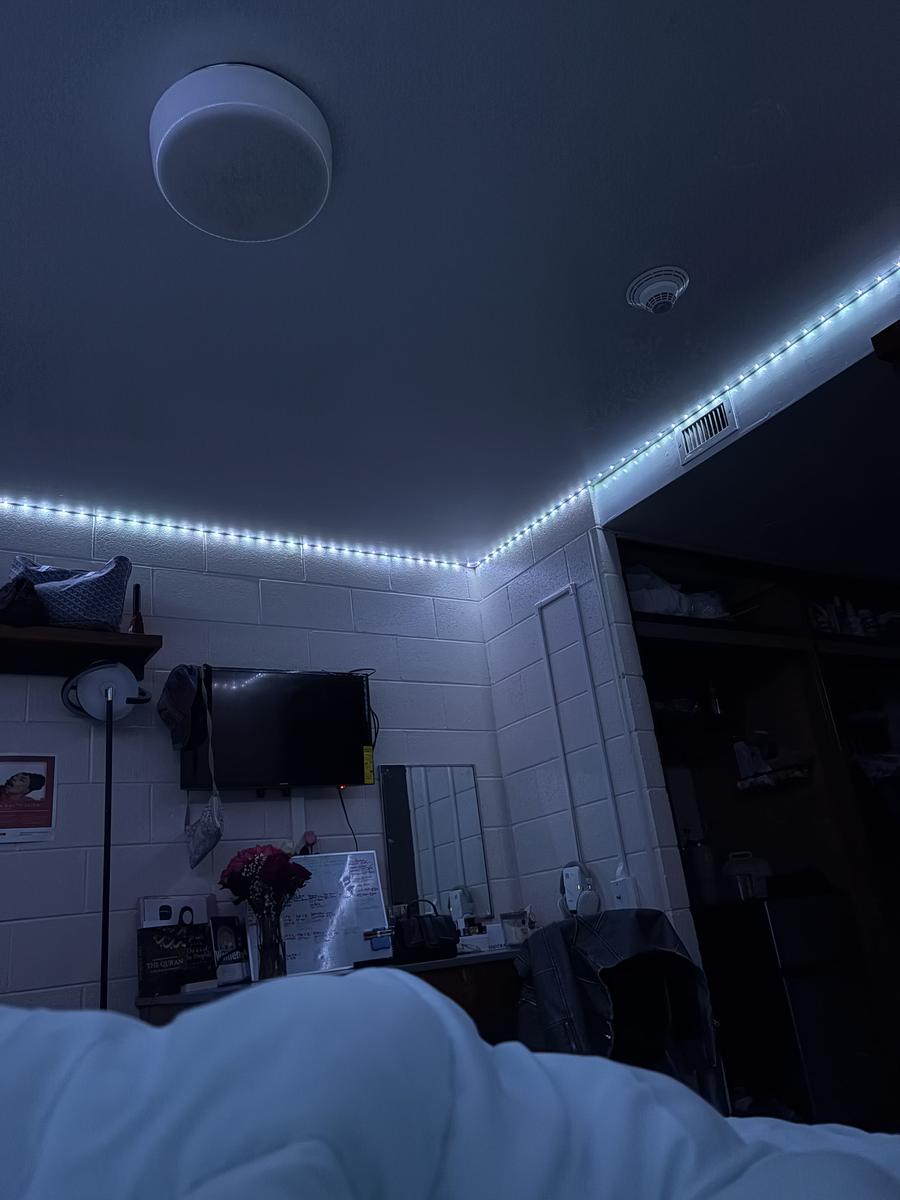 Item: LED Strip Light 50 Feet LED Lights